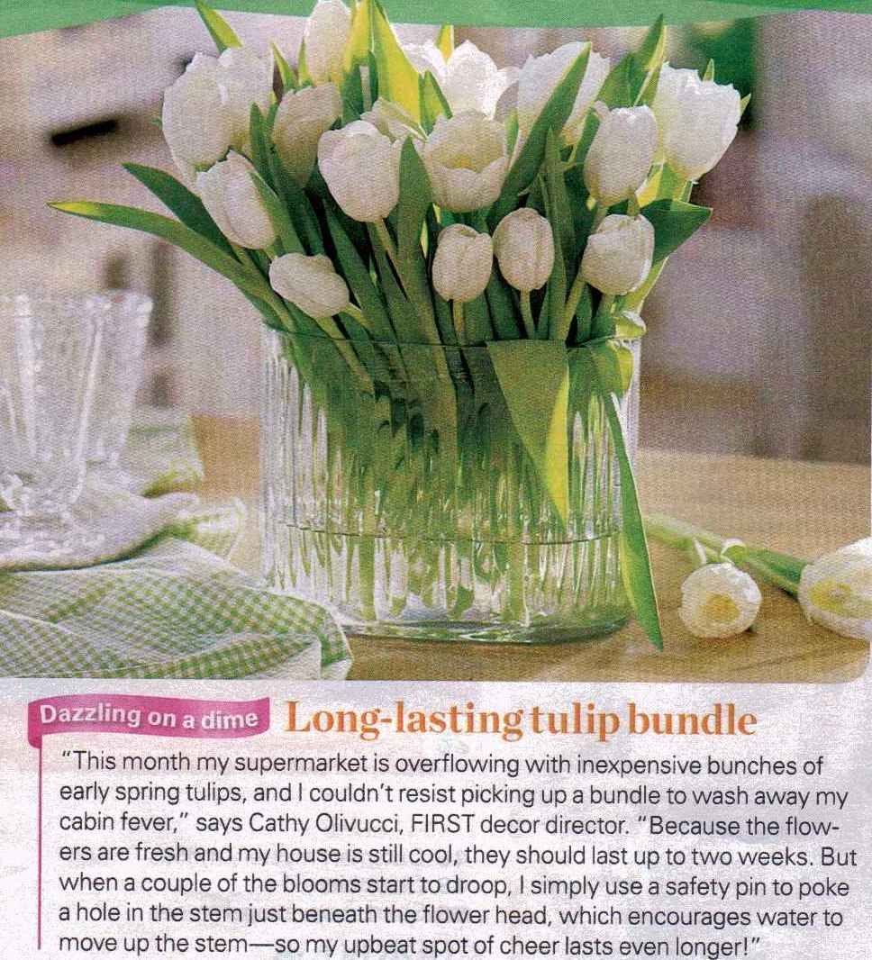 how to make tulips last longer How to care for cut tulips