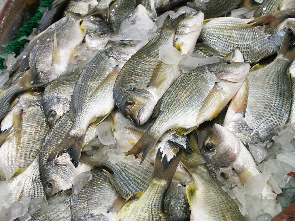 how to open a fish market Fish market