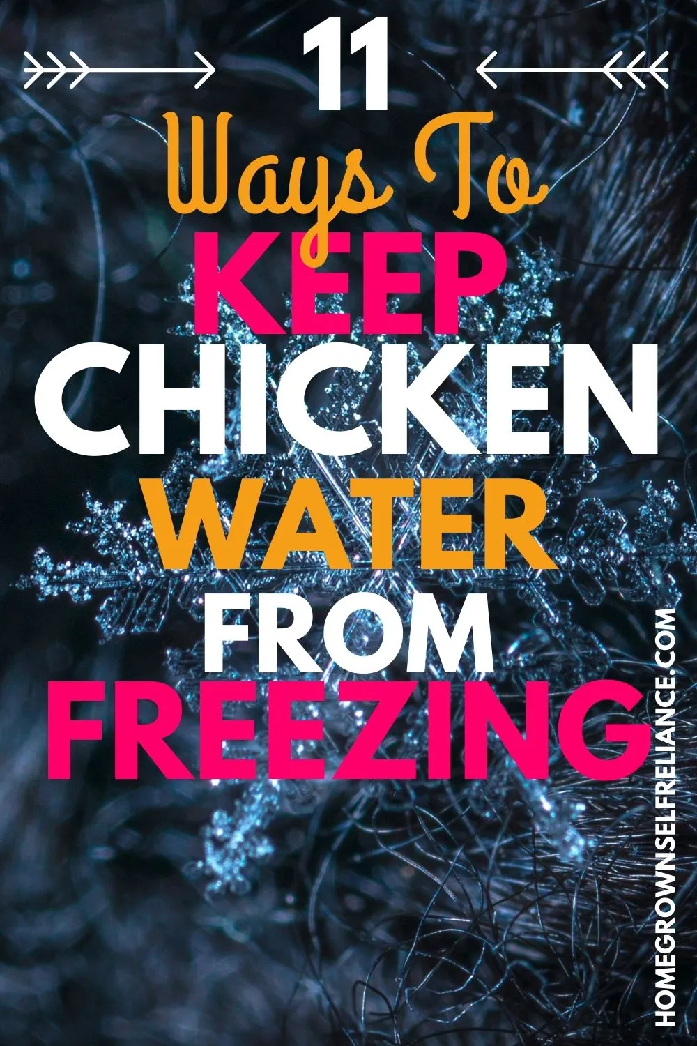 how to keep chicken water from freezing How to keep chicken water from freezing