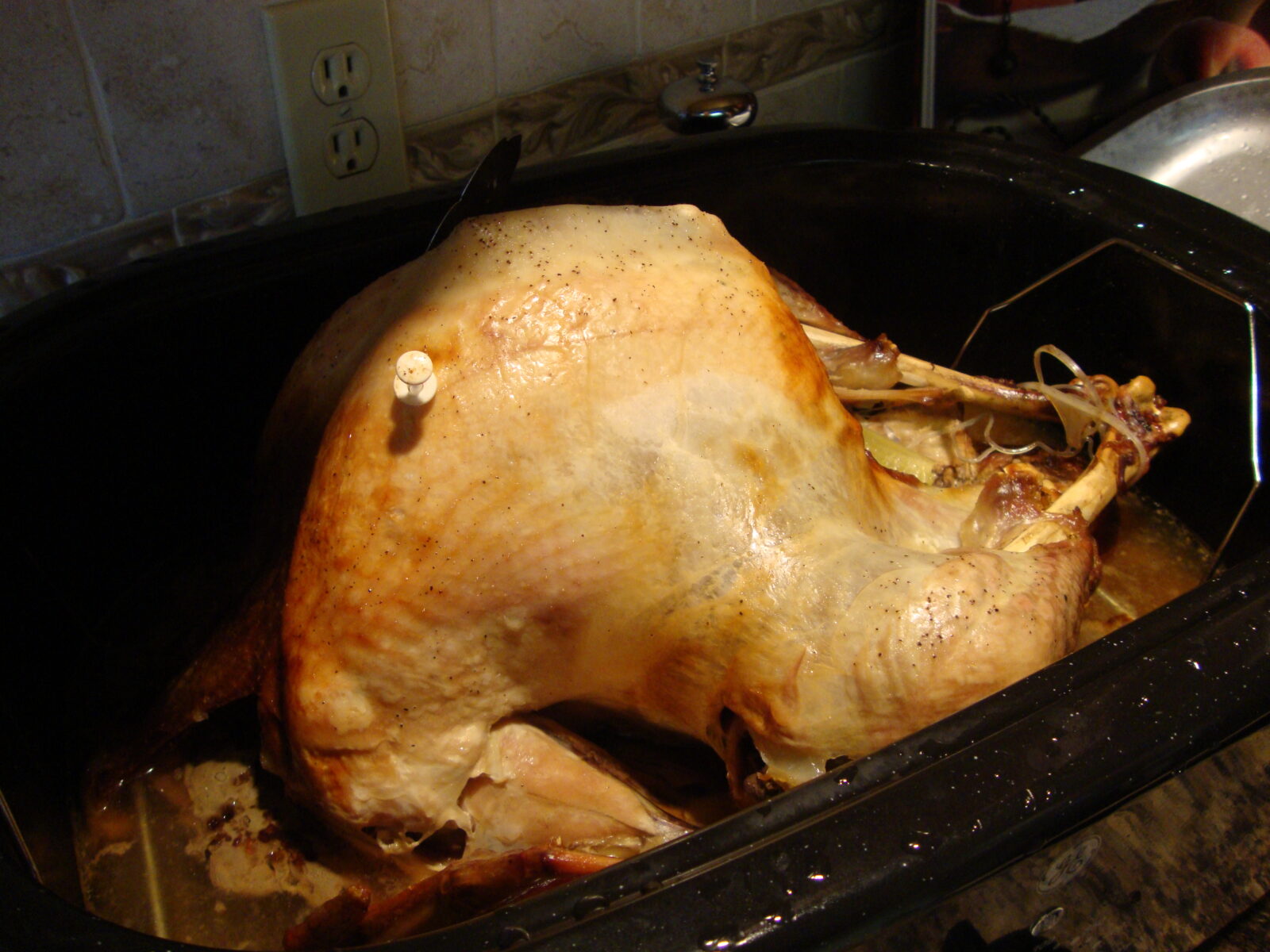 How To Cook A Turkey in a Roaster Oven - Women Living Well