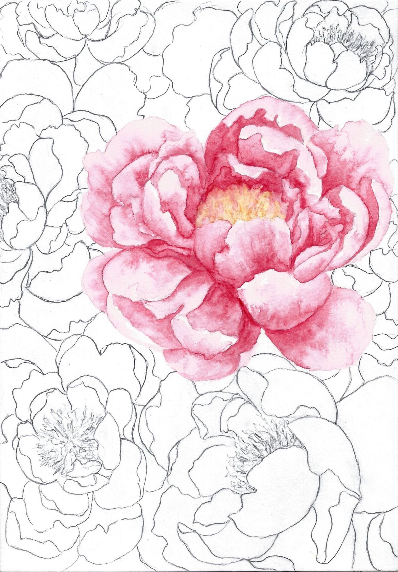 how to draw a peony How to draw a peony