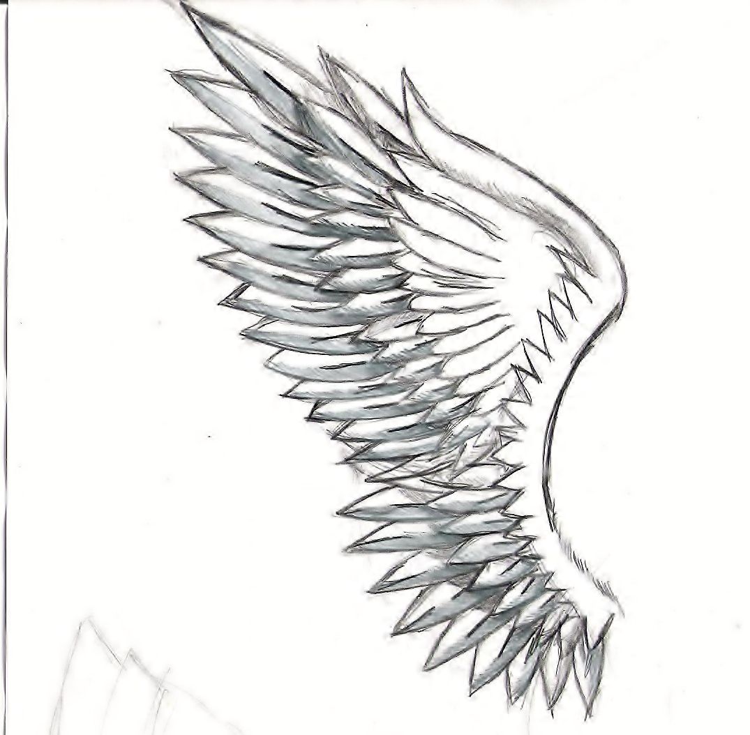 how to draw angel with wings How to draw wings step by step at drawing tutorials