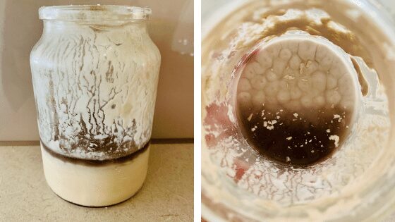 how to revive sourdough starter Pin by leire garmendia on hacer