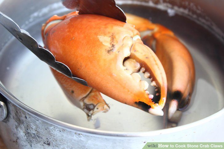 how to cook stone crab claws Cook stone crab claws (with images)