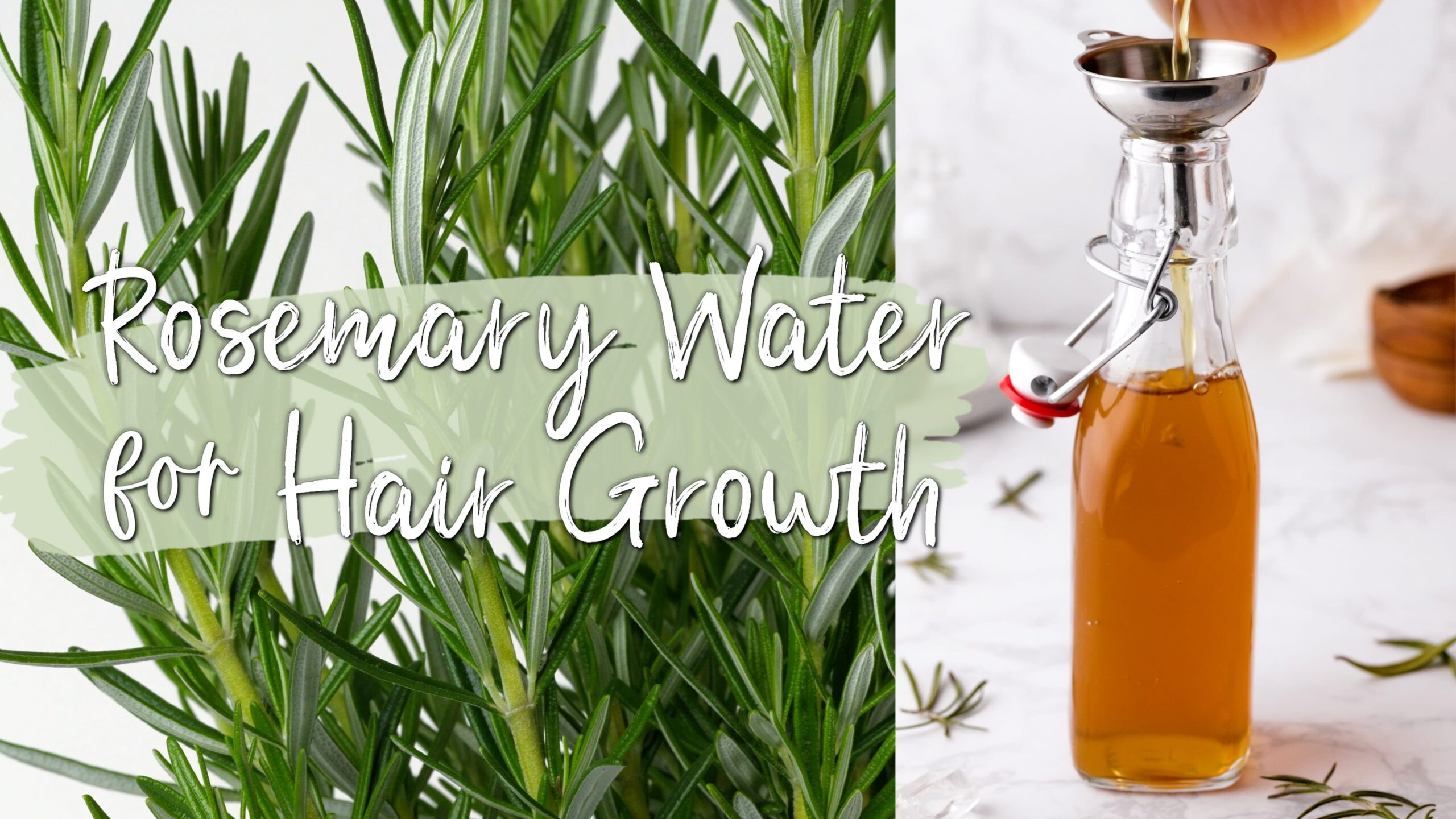 how to use rosemary water for hair How to use rosemary water for hair growth