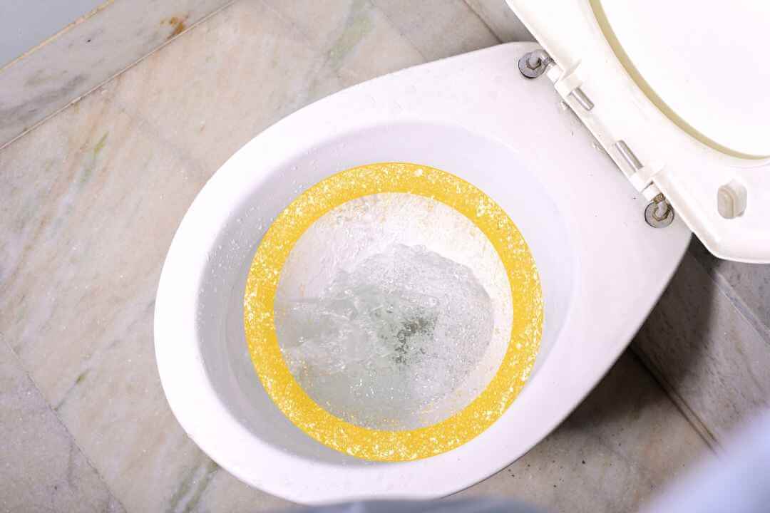 how to remove toilet ring How to get rid of ring in toilet