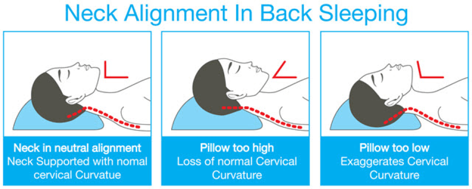 how to use a neck pillow Wheelchair ekonomi kelas perjalanan sleeping lupa bawa bekal tidur bantal jauh melakukan jangan pain cervical recommendations road chiropractic flying ergonomic