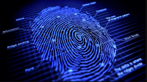 how long does it take for fingerprints to come back How long do police keep fingerprints on record?