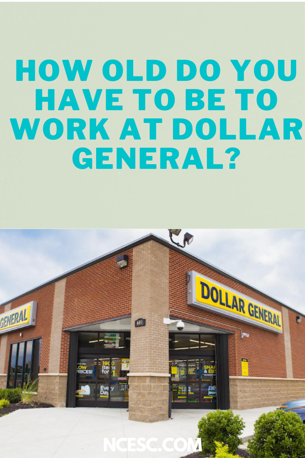 how old to work at dollar general Dollar general plans to hire 50,000 workers in less than 2 months as