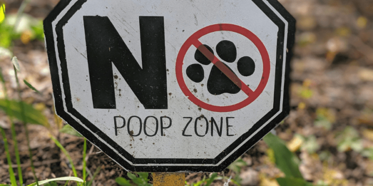 how to keep a dog from pooping in your yard How to keep a dog from pooping in your yard