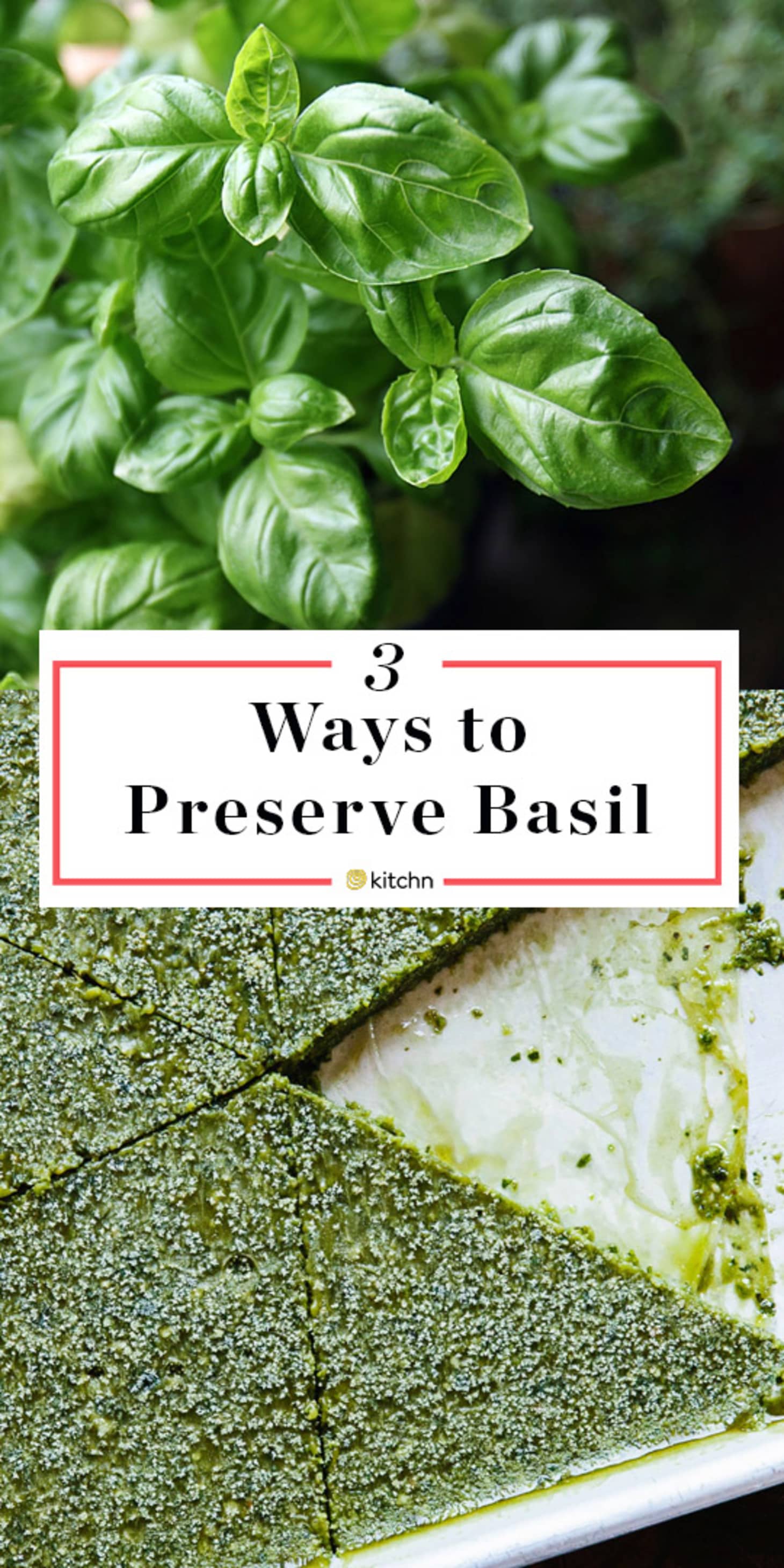 3 Tips for Preserving Fresh Basil All Year Long | Kitchn