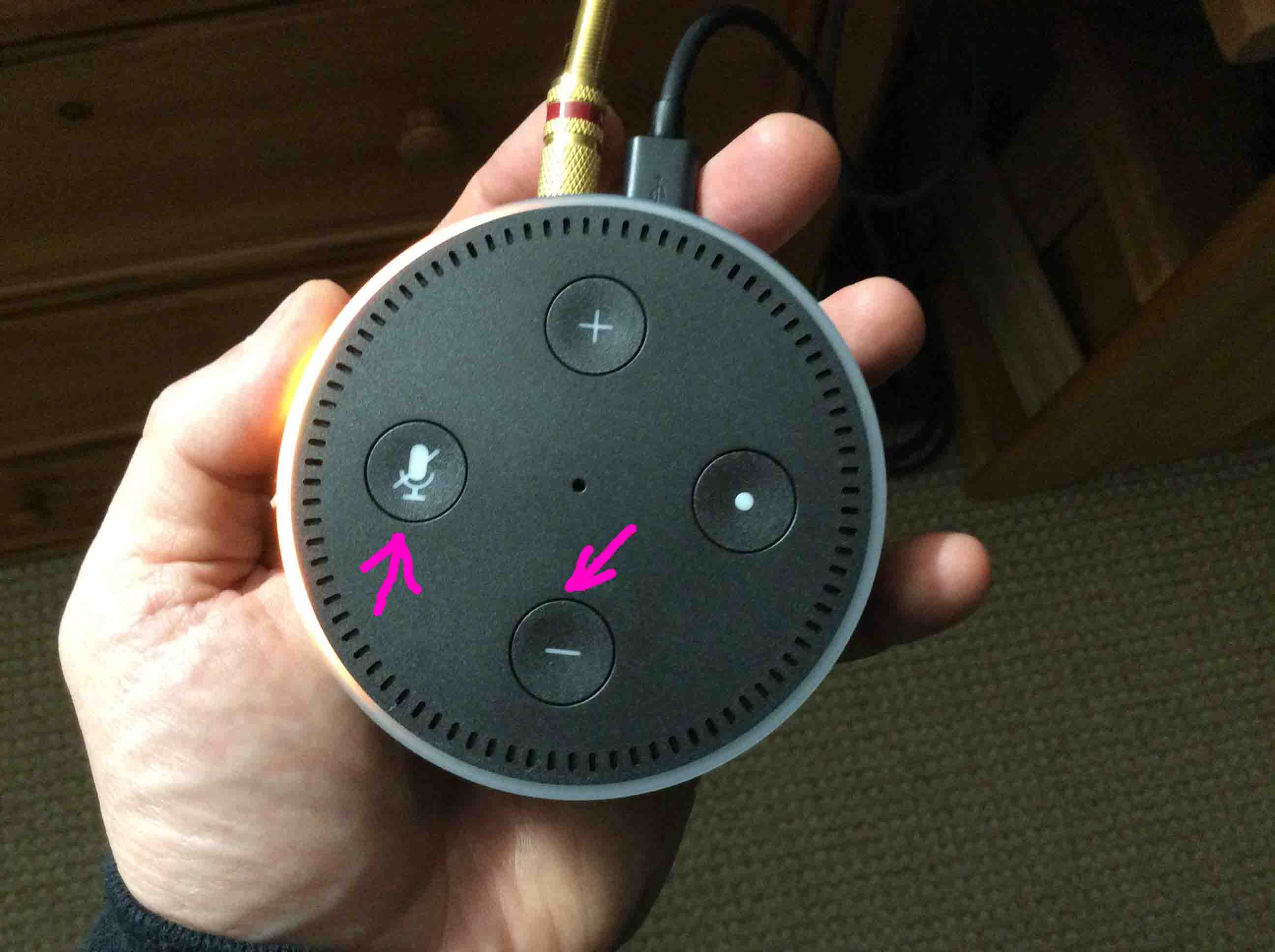 Echo Dot Reset Button Location on Gen 1, 2, and 3 Dots - Tom's Tek Stop