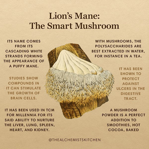 how to grow lions mane When to harvest lions mane (lion’s mane grow kit review)