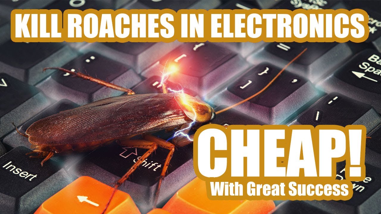 how to get roaches out of electronics How to get roaches out of appliances: microwave, oven, tv, xbox one