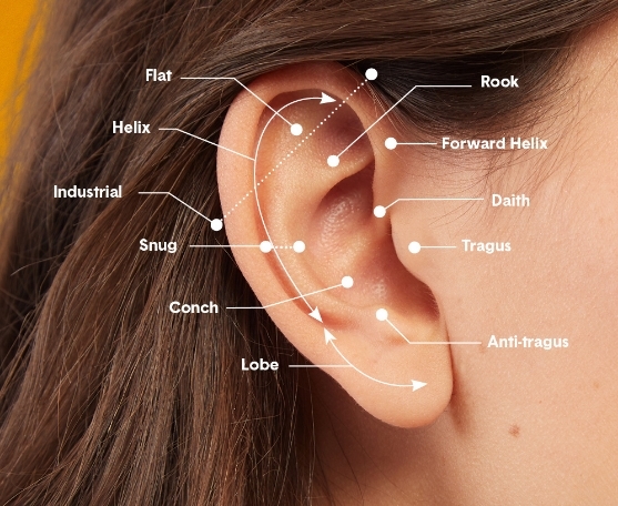 how long does it take for pierced ears to close #curatedear: how to stack your ear piercings like a pro