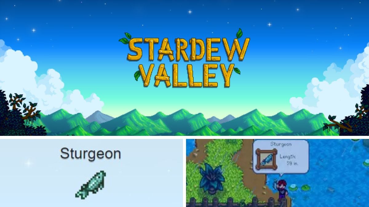 how to catch a sturgeon in stardew valley How to catch sturgeon in stardew valley?