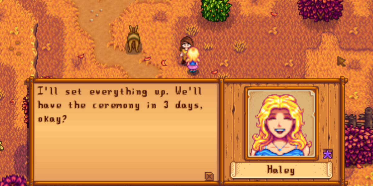 how to marry in stardew valley Stardew valley