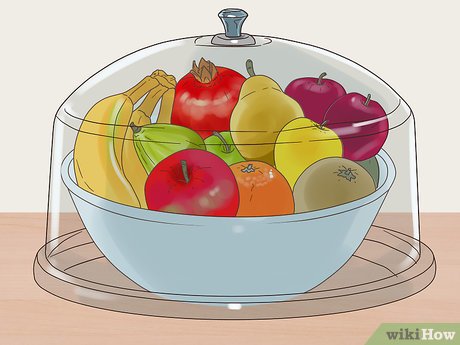 how to keep fruit flies away Fruit flies rid get them away keep ca need