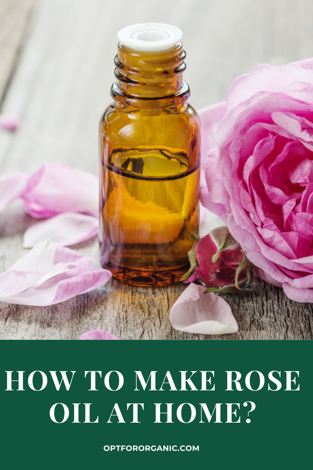 how to make rose oil Rose oil make yourbeautyblog petals fresh diy roses