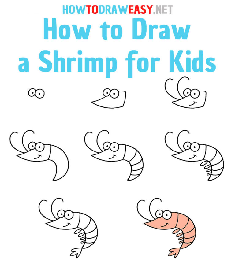 how to draw a shrimp Shrimp drawingtutorials101 draw step