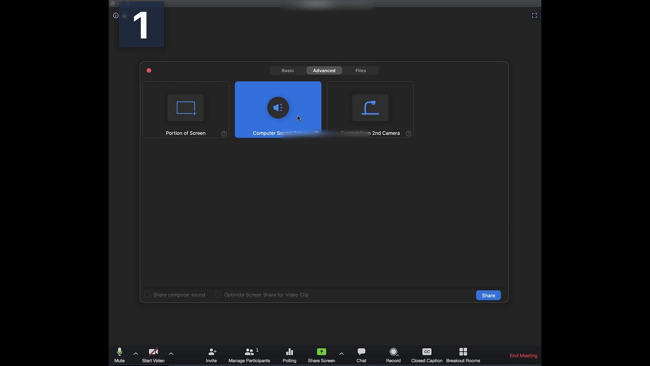 Sharing Audio with Zoom - YouTube