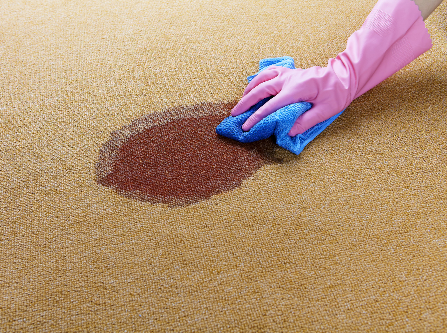 how to clean blood out of carpet How to get period blood out of carpet