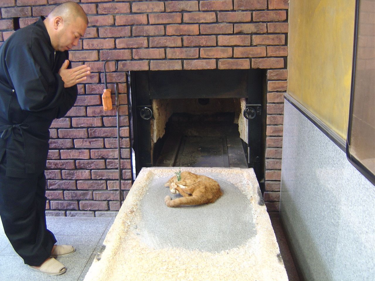 Preparing to cremate a cat after a Buddhist funeral service. | Pet