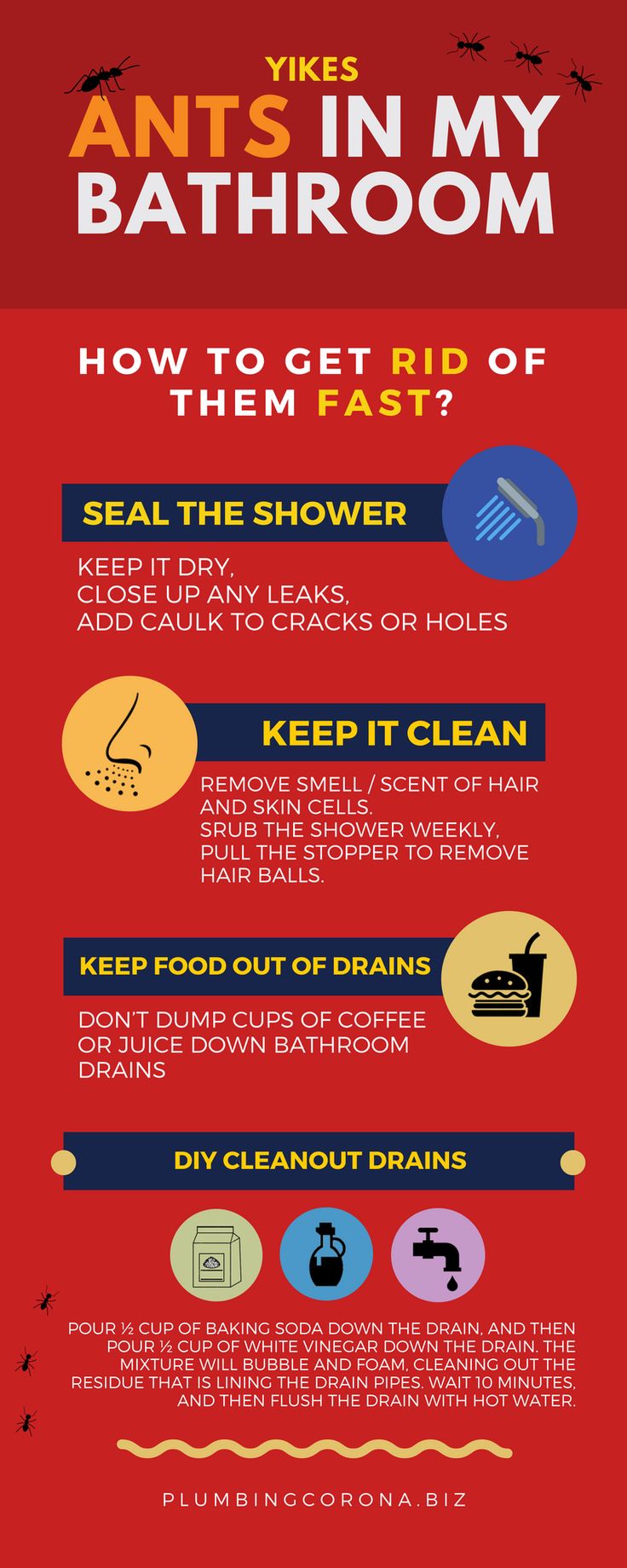 how to get rid of ants in the bathroom How to get rid of ants in a bathroom: quick remedies