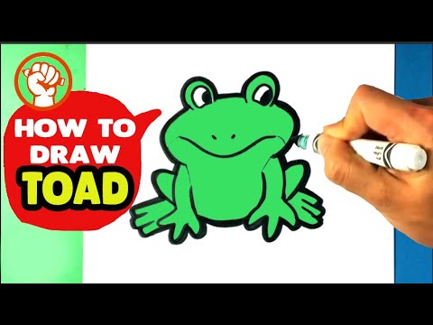 how to draw a toad How to draw toad from super mario (super mario) step by step