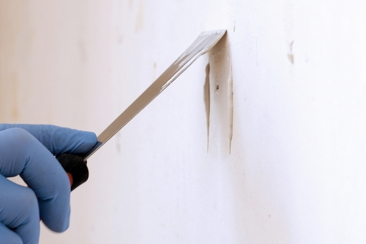 8 Best Ways to Clean Walls with Flat Paint – The Digital Watch