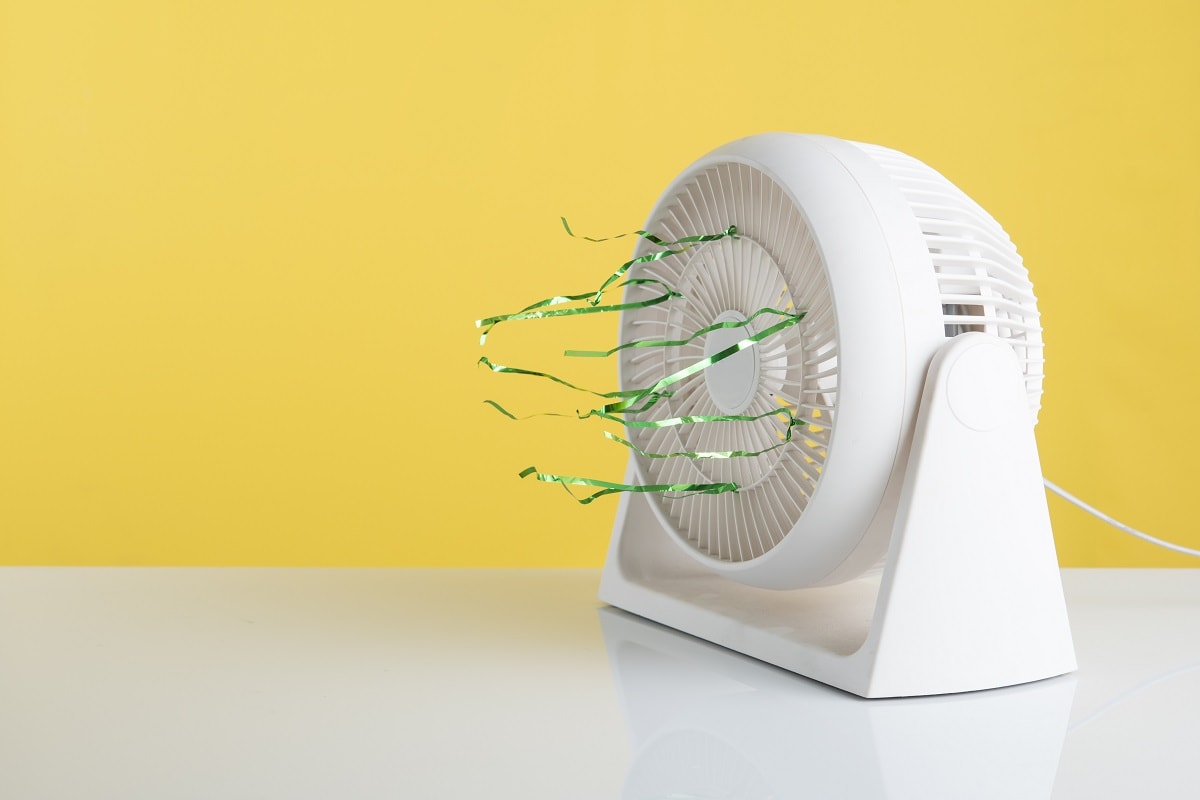 how to clean woozoo fan How to easily clean your woozoo fan hassle-free