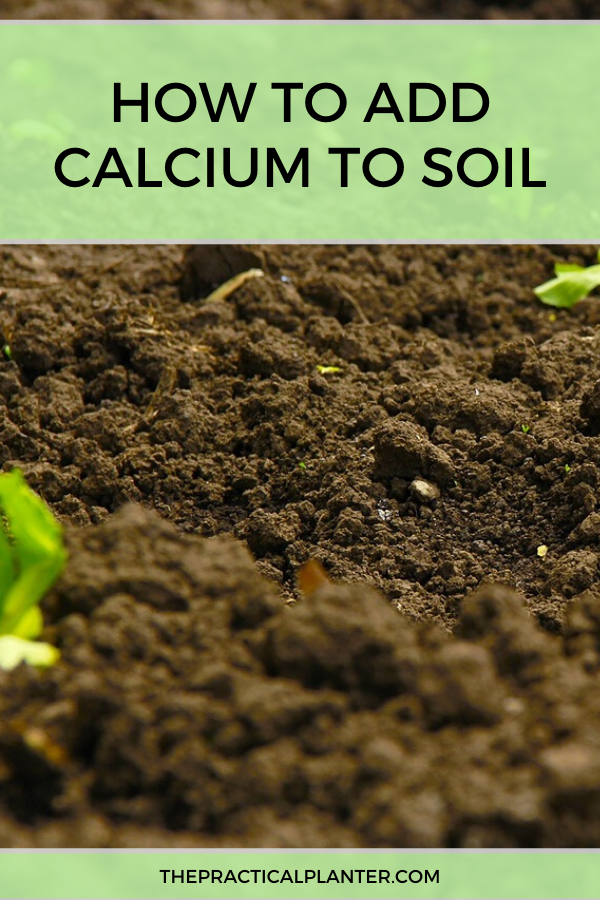 how to add calcium to soil How to add calcium to soil: making the perfect plant mix