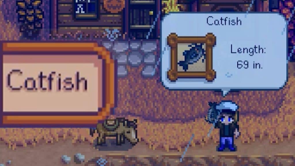 how to catch catfish stardew valley Stardew catfish legendary spots