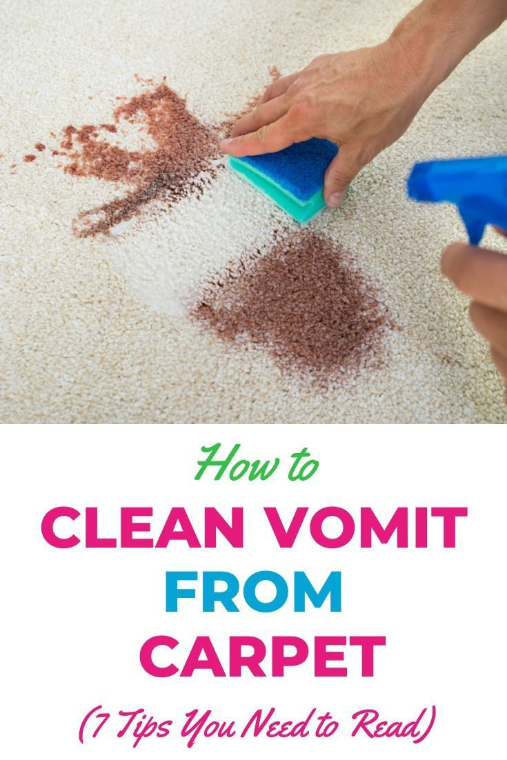 how to clean puke out of carpet How to clean cat vomit stains. remove puke stains easily with genesis