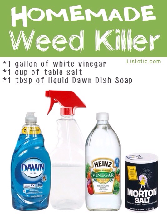 how to make weed killer Powell brower at home: best diy weed killer