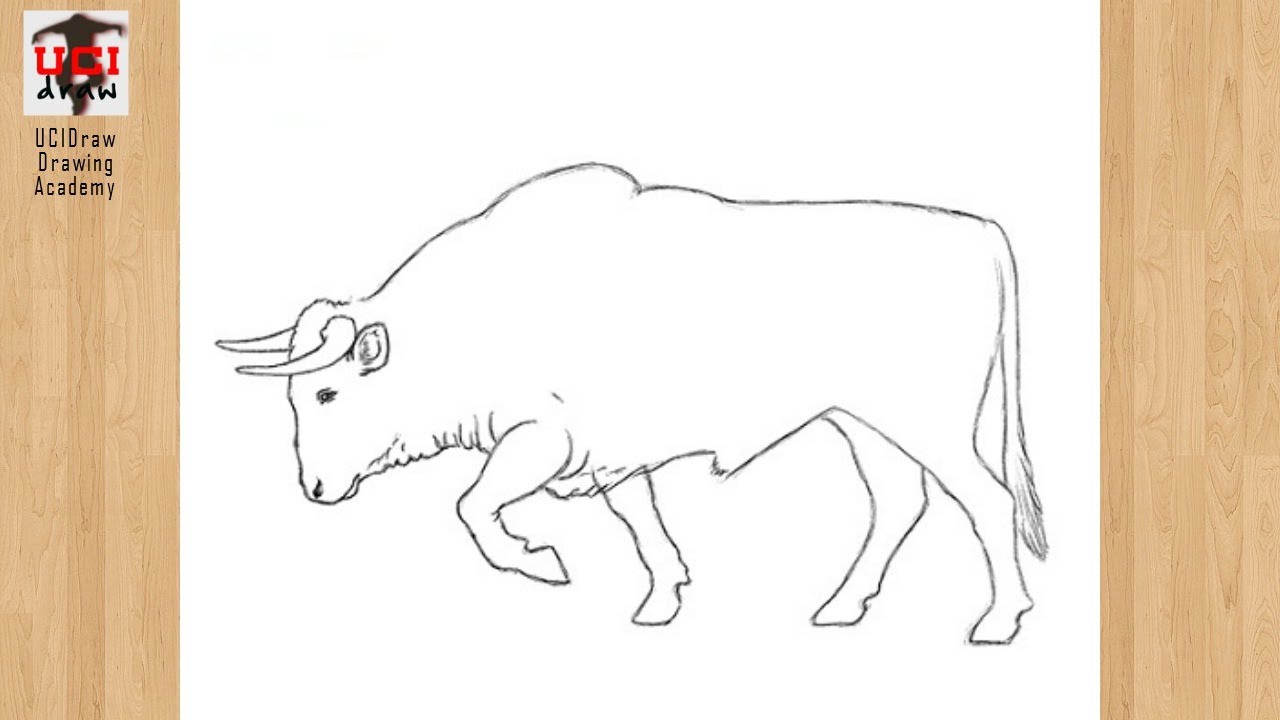 how to draw a bull Clipart wallpaper blink