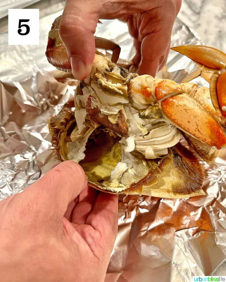 how long to boil crab dungeness Dungeness crabs -crabbing hq