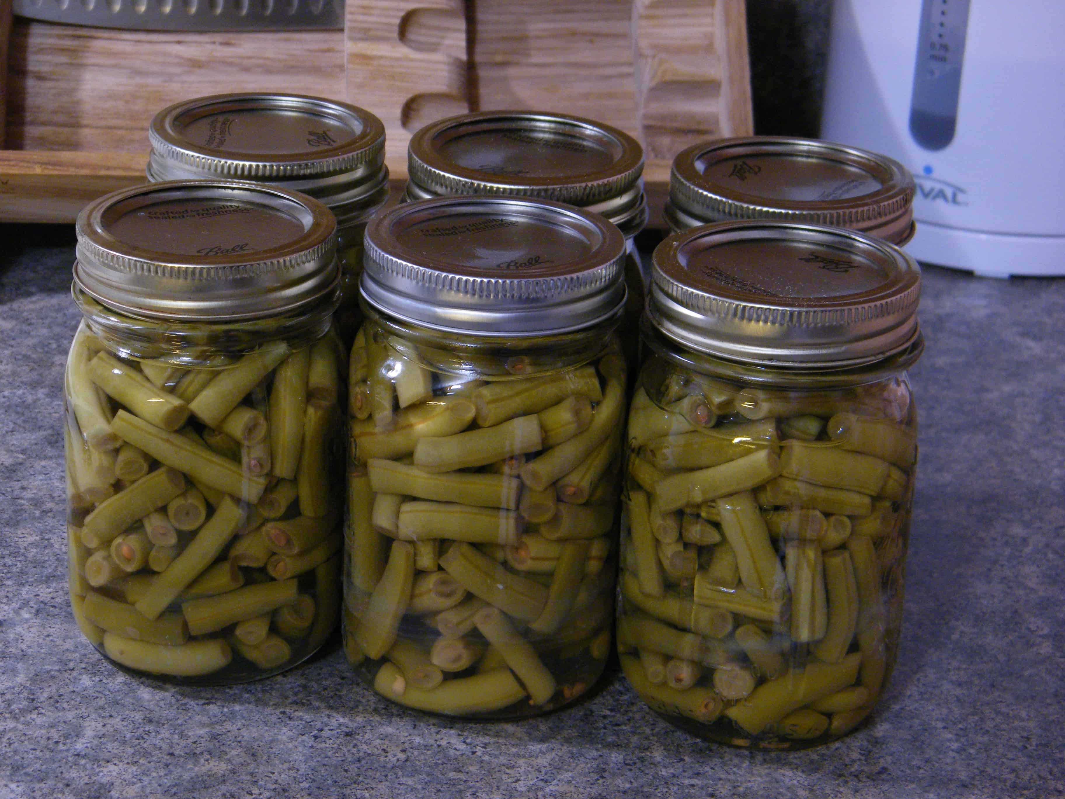 Home Canned Green Beans in 3 Easy steps | Simple Family Preparedness