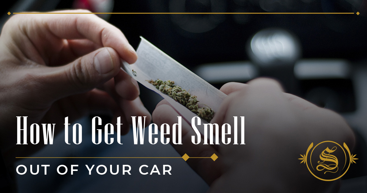 How To Get Weed Smell Out Of Car: Tried & Tested Tips! - The Sanctuary