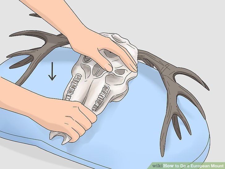 how to do a european mount How to make an easy european mount