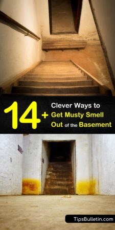 how to remove musty smell from basement Musty smell basement rid get