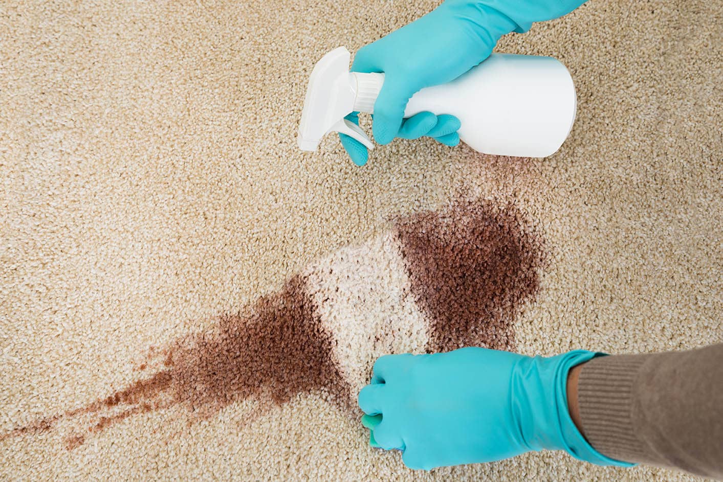 how to get dog diarrhea out of carpet How to get rid of dog diarrhea on carpet