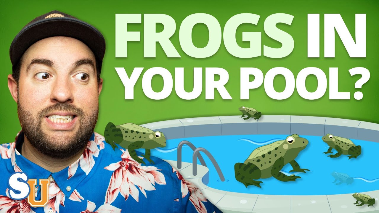 how to keep frogs out of pool How to keep frogs out of a pool