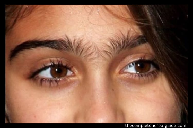 how to get rid of a unibrow How to permanently get rid of a unibrow