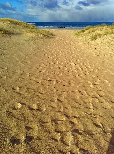 how to wet sand Sand textures wet beach album name