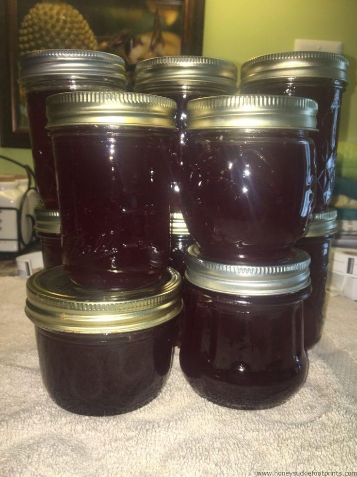 how to make muscadine jelly Muscadine dozen toi southernhospitalityblog