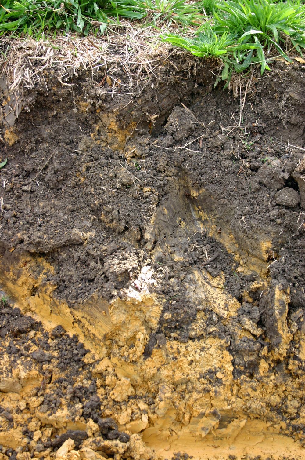 how to amend clay soil How to amend clay soil