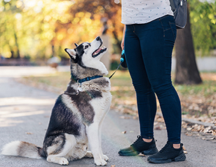 how to remind someone to pay you How to remind someone to pay you: helpful tips & examples