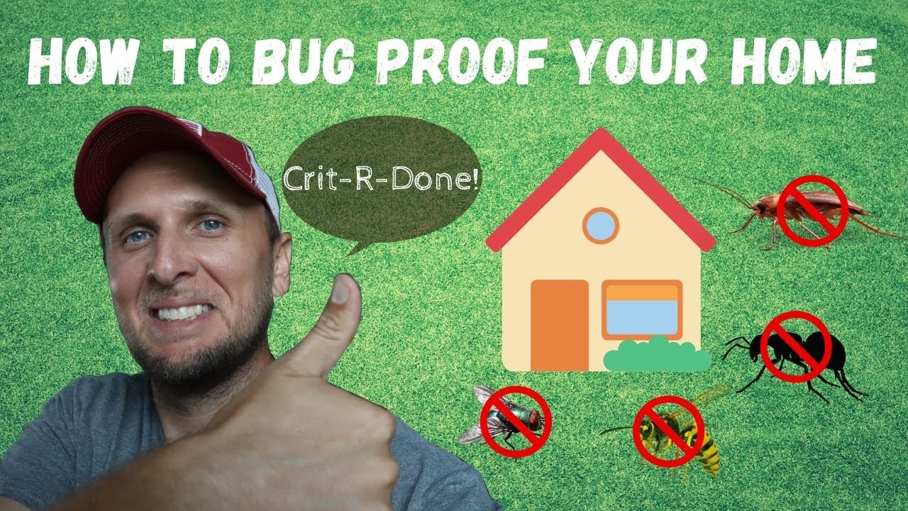 how to keep bugs out of house Keep bugs out of your home with 6 bug prevention tips