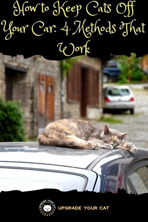 how to keep cats off your car Cats repellent repelentes